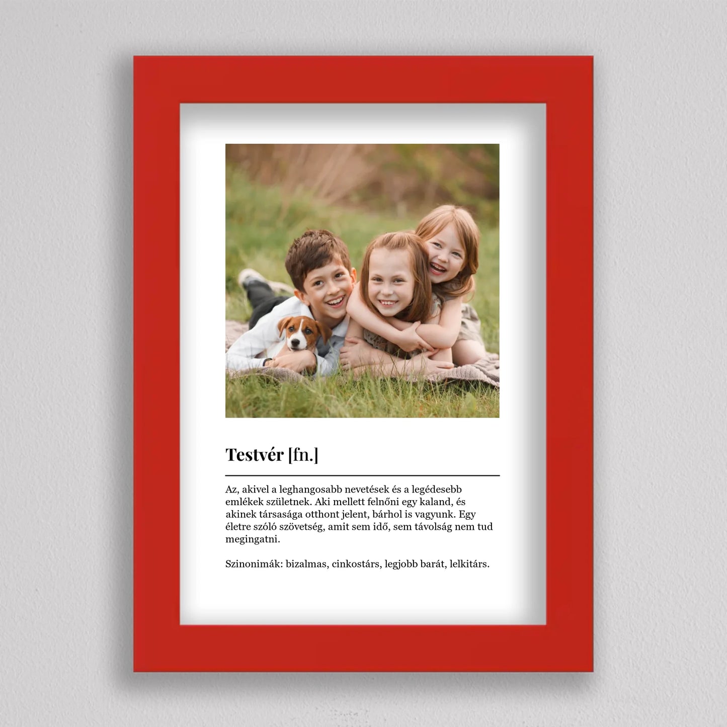 Szeretet Szótár - Testvér