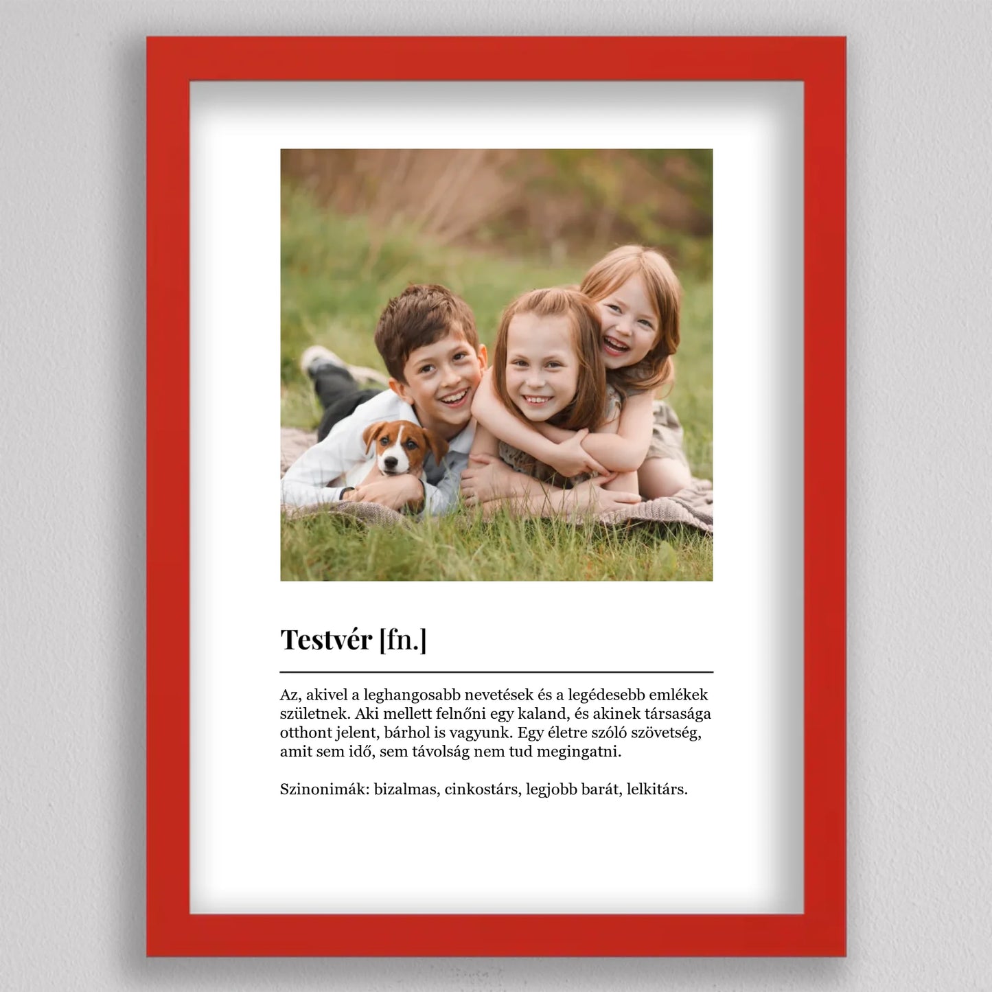 Szeretet Szótár - Testvér