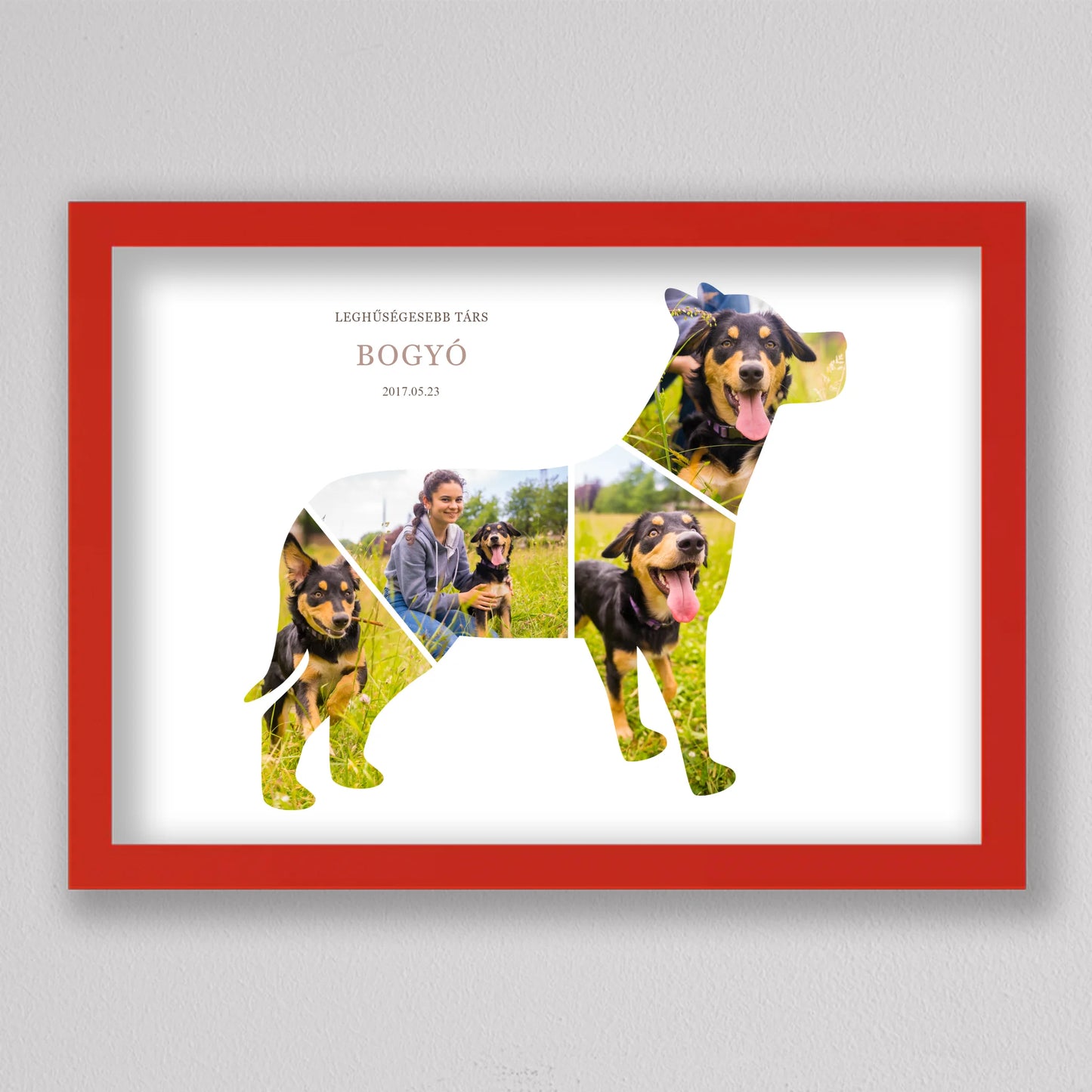 Hűséges Társ kutya alakú fotó kollázs