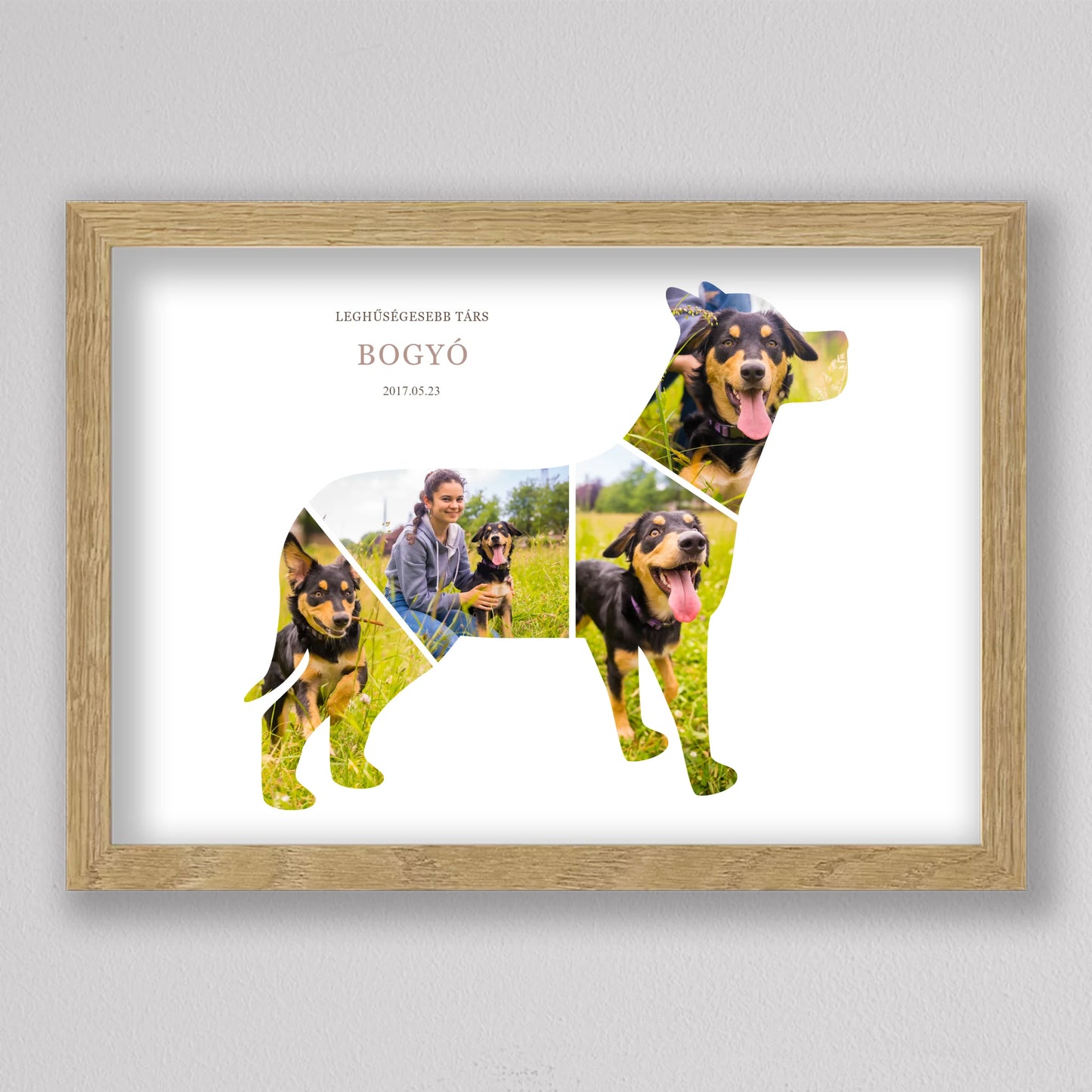Hűséges Társ kutya alakú fotó kollázs