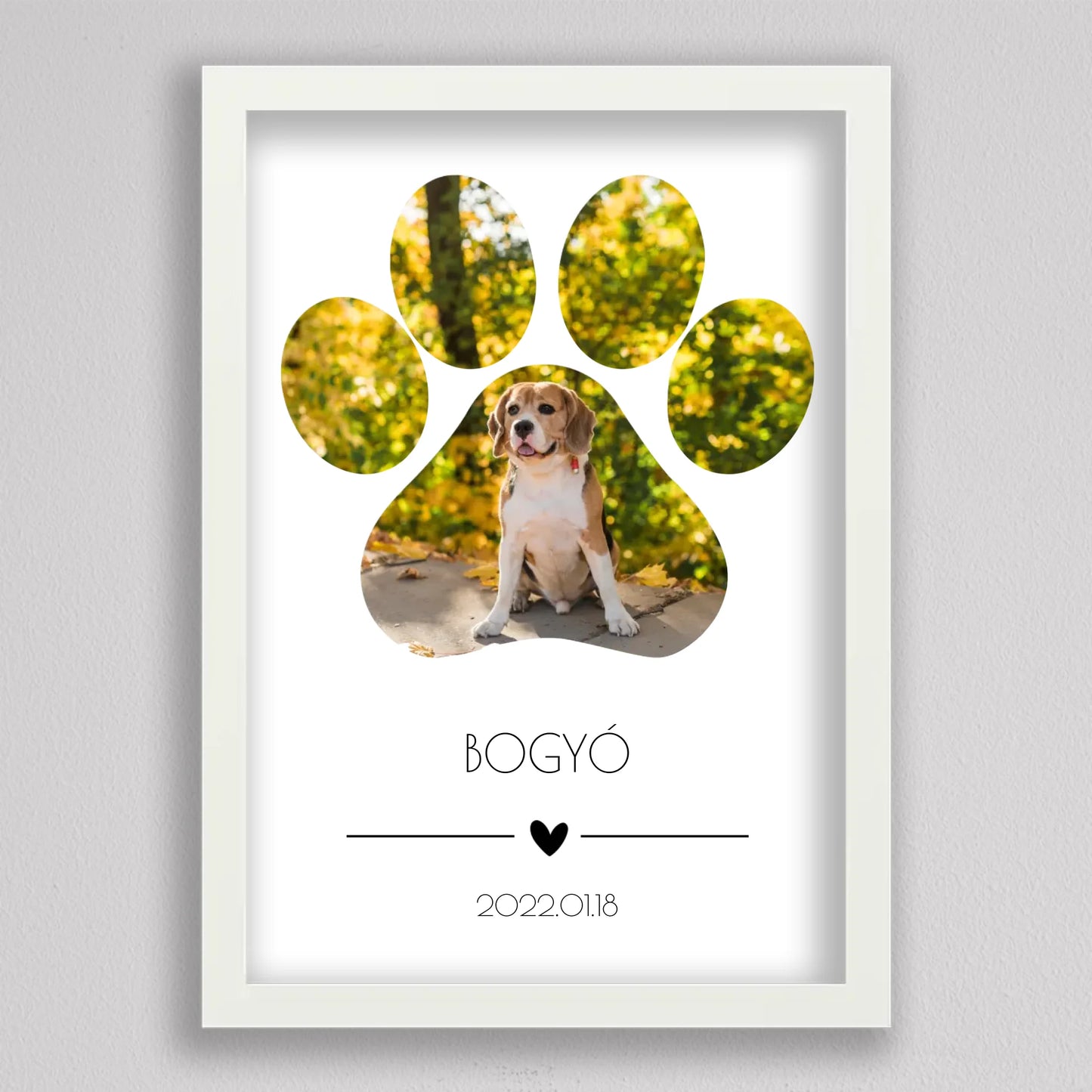 Öt vagy egy nagy képes kutya mancs alakú fotó kollázs