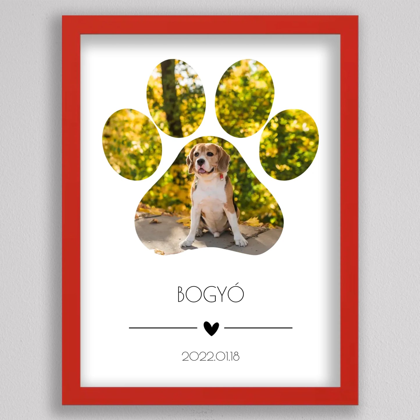 Öt vagy egy nagy képes kutya mancs alakú fotó kollázs